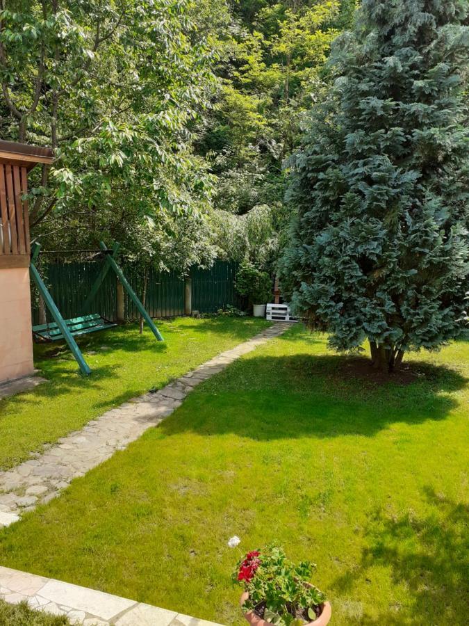 Pension Calborean Tălmaciu المظهر الخارجي الصورة